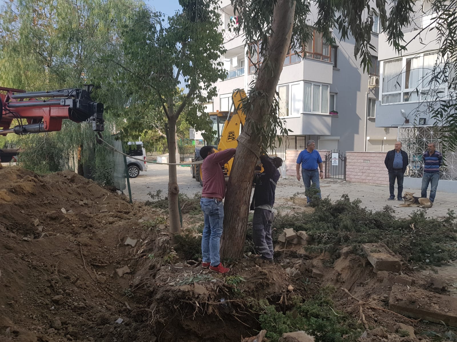 Güzelbahçe'de Yeşil Seferberli