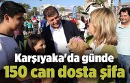 Karşıyaka'da günde 150 can dosta şifa