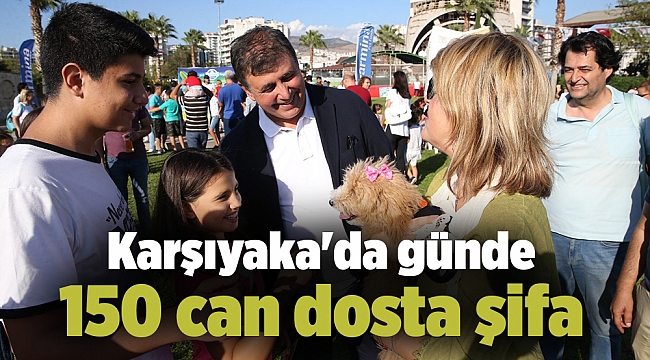 Karşıyaka'da günde 150 can dosta şifa